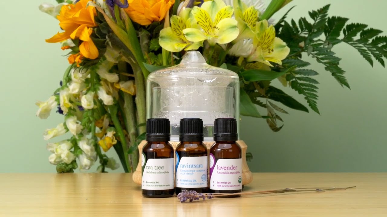 Springtime Air Diffuser Bundle with Diffuser | Aromatics