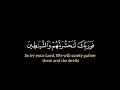 فوربك لنحشرنهم والشياطين   عبدالله المالكي من سورة مريم شاشة سوداء  نجومي