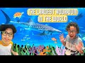 S.E.A Aquarium Adventure in Singapore