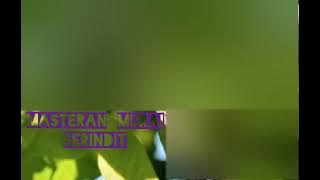 | Serindit Nembak Dorr | Jeda Waktu
