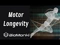 Motor Longevity