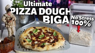 How to Make Perfect Biga No Stress Pizza Dough at Home 100%