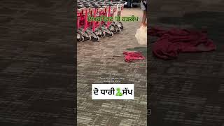 Snake Video On Airport Toronto Pearson International Airport