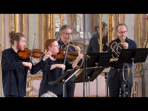 Johann Gottfried Seyfert — Sinfonia D-Dur