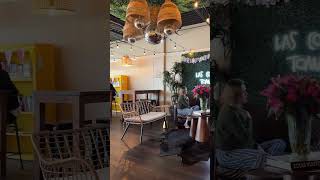 Euforia Cafe #cafe #euforia #illinois