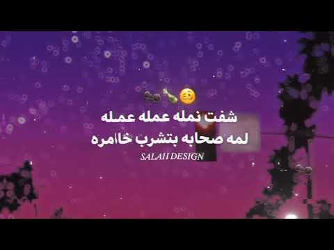 مهرجان سكران خربان شوفت نمله عاملة عامله تيم الصواريخ فانكي دقدق حالات واتس 2025