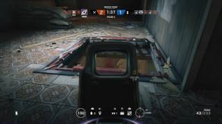 Jackal ace!