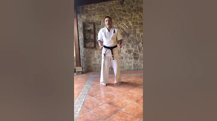 Torneo virtual de kata. Raymond Raines Costa Rica.