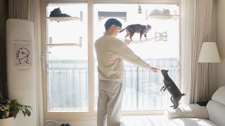 Small Apartment Cat Gear Tier List Best & Worst?