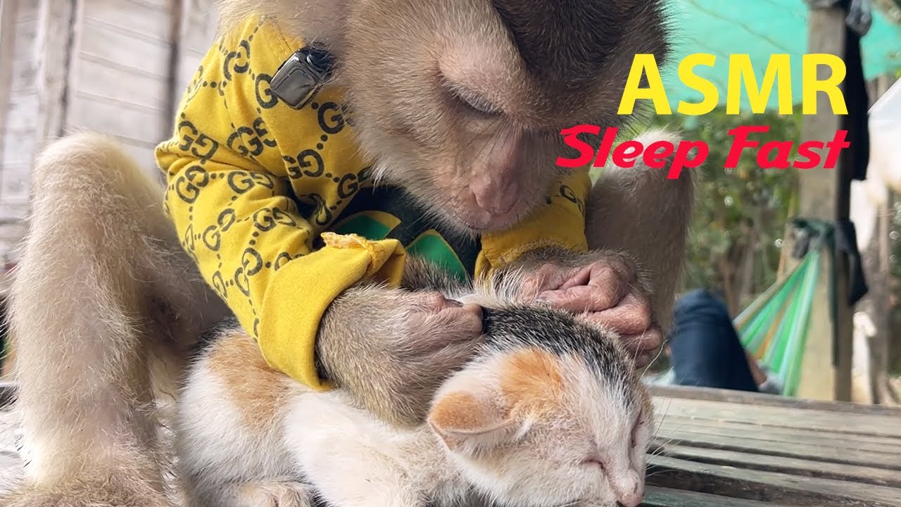 ASMR Malika Need Zeuii Grooming Her Body And Take Care Of Her