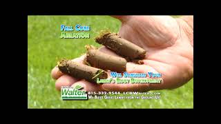 Fall Core Aeration for a Healthier Lawn & Stronger Roots