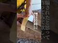 【はちみつ大根】寒くなってきて喉の痛み、咳が辛い、、、そんな日も増えてきてませんか🥺?今日はそんな冬にオススメな『はちみつ大根』の紹介です🙋♀️