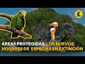 Áreas protegidas: los nuevos hogares de las especies en extinción