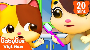 Mimi bị sâu răng | Cùng Mimi phòng ngừa vi khuẩn sâu răng | Nhạc thiếu nhi vui nhộn | BabyBus