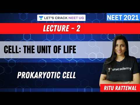 Cell: The Unit of Life - Prokaryotic Cell | NEET 2021 | NEET Biology | Ritu Rattewal