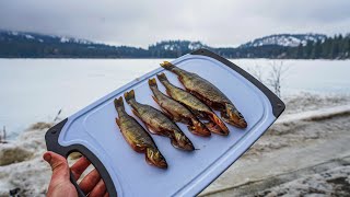 WINTER Mountain Lake Ice Fishing (Catch & Cook Yellow Perch)