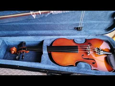 VIOLIN FEVER