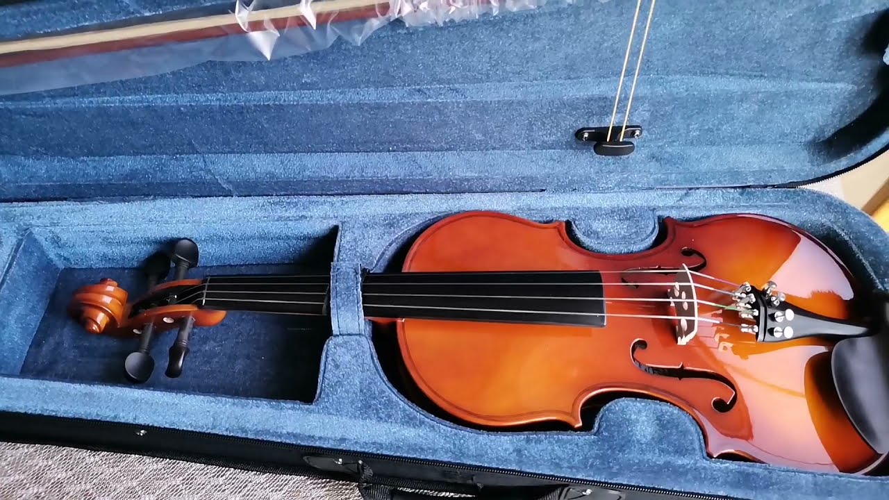 VIOLIN FEVER YouTube