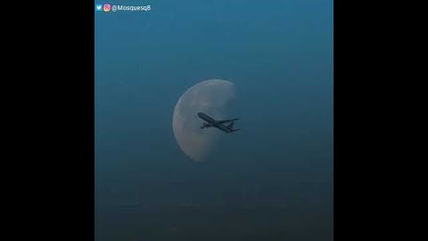 سورة التوبة الآية ٥١ بصوت الشيخ أحمد بن علي العجمي ❀