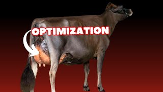 Celebrity How to Select High-Producing Dairy Cows Wealth