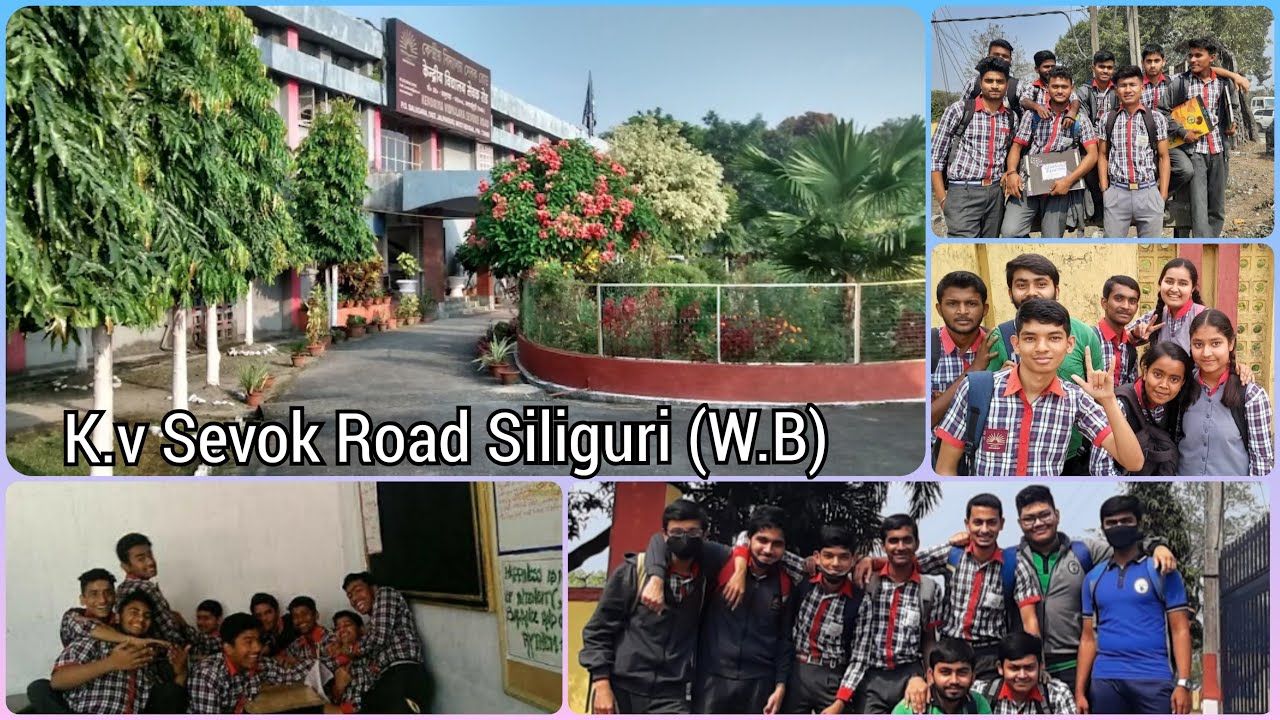 kendriya vidyalaya sevok road || kvs school 
