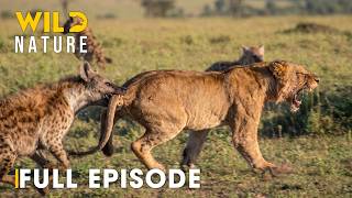 Hostile Planet (FULL EPISODE) | Battle for Survival in Predator Territory | Animal documentary