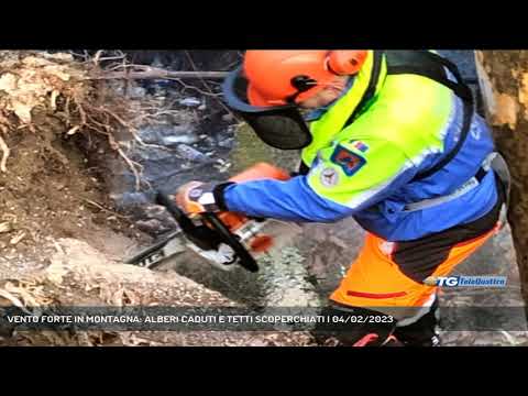 VENTO FORTE IN MONTAGNA: ALBERI CADUTI E TETTI SCOPERCHIATI | 04/02/2023