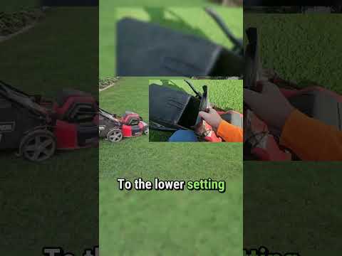 Wet Lawn Woes: How to Mow Like a Pro After Rain ☔