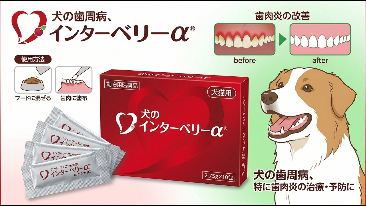 インターベリーαの使い方 - YouTube