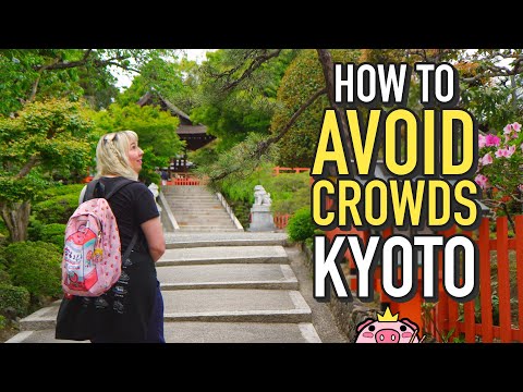 Planning a trip to Japan? Check out my 👑🐷 Digital Travel Guides: https://www.kingkogi.ca/travel-guides https://shop.thatch.co/@kingkogi * ｡･:*:･ﾟ★,｡･:*:･ﾟ☆...