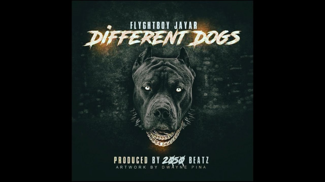 Flyghtboy Jayar - Different Dogs [Music Video]