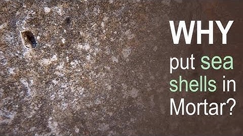 Why put sea shells in Mortar?