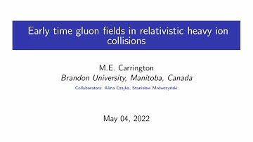 Early time gluon fields in relativistic heavy ion collisions