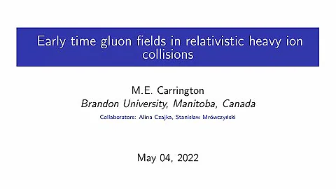 Early time gluon fields in relativistic heavy ion collisions