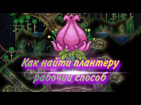 Terraria как найти плантеру рабочий способ