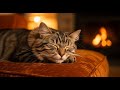 Gentle Music for Kittens 🎵 Cat Sleep Music - Stress Relief Sleep Music for Cats 🐱 Anti Stress