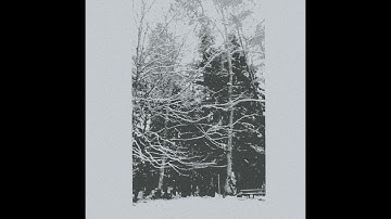 Nocturnal Enchantment - Sorcery (2025) - 𝘍𝘓