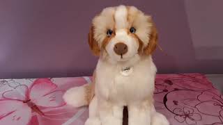 Unboxing Cookie dog plush by Steiff