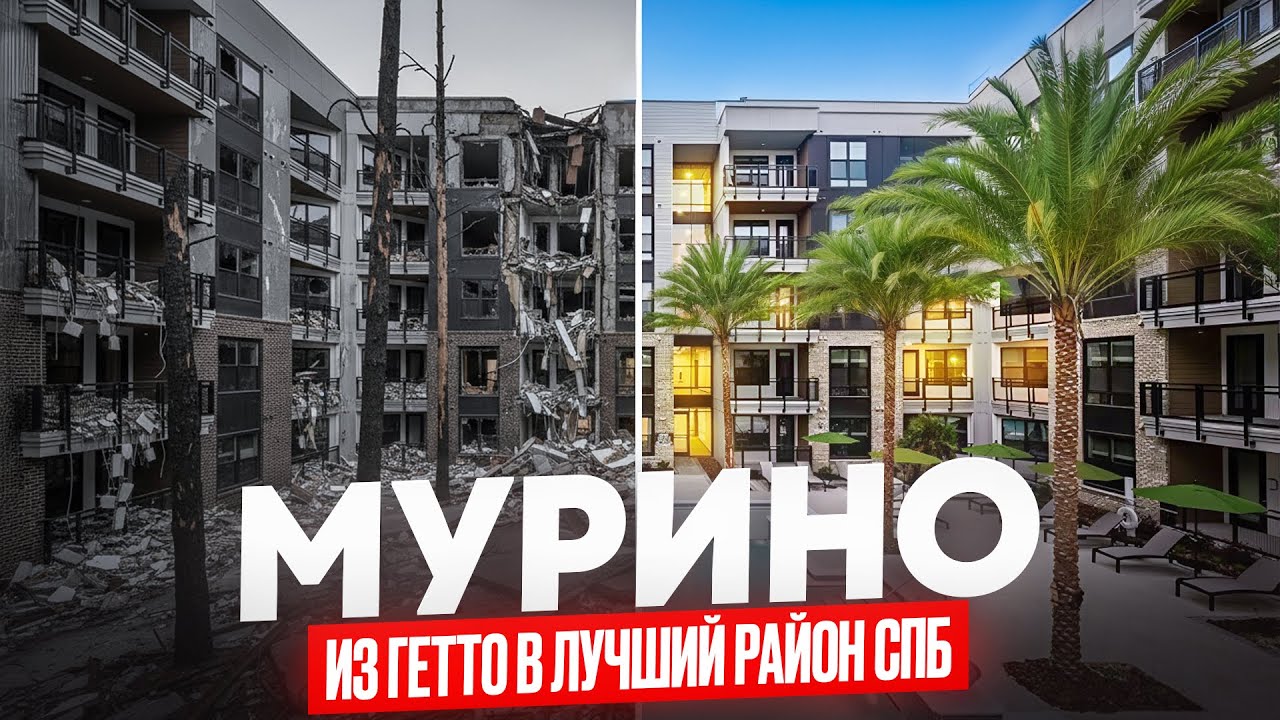 МУРИНО - ИЗ ГЕТТО в лучший район ПИТЕРА / Вся правда