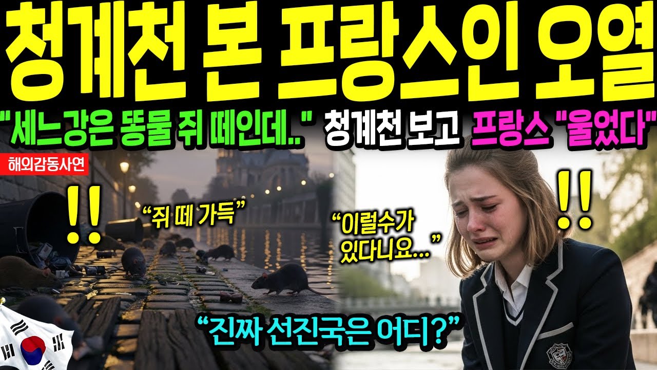 [해외감동사연] 한국 청계천 보고 유럽이 발칵 뒤집힌 이유 