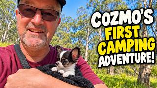 Cozmo’s First Camping Adventure! | Toowoomba to Bengalla, QLD