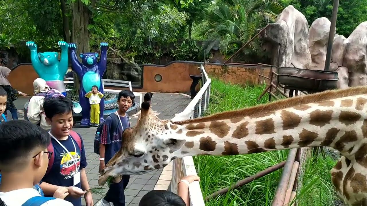 WISATA JATIM PARK 2 BATU MALANG | MI ISLAMIYAH