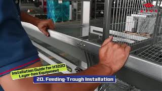 How to Install an H-Type 1200 Layer Cage System | Build a Modern Layer Farm