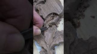 Carving acorns Part 1 #woodcarving  #cuckoo clock #woodworking