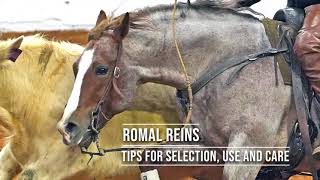 Romal Reins-Tips for Selection, Care and Use