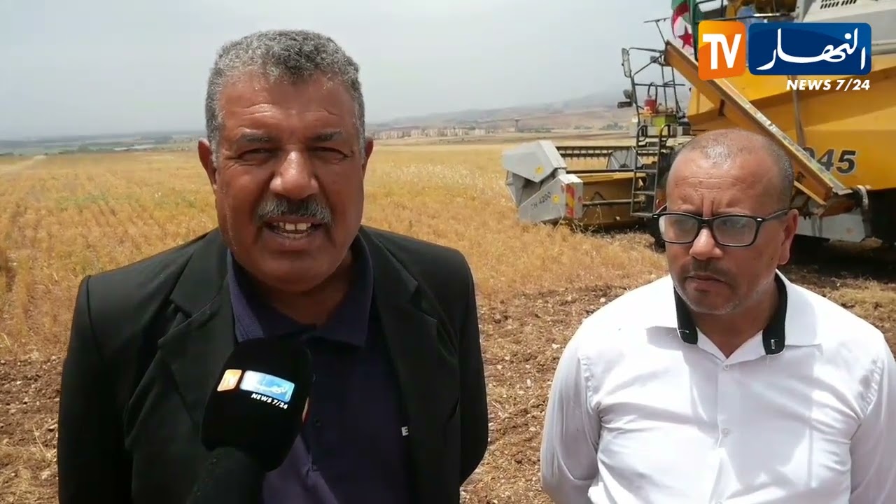 عين الدفلى:  انطلاق موسم حصاد البقول الجافة بدائرة جندل وسط تفائل بالمحصول