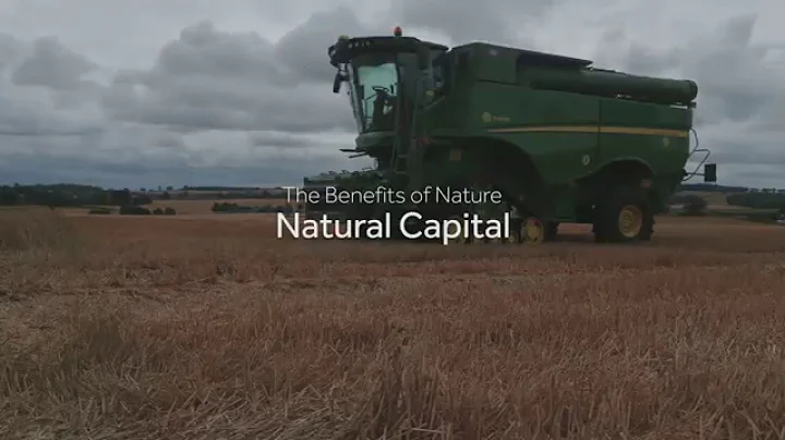 Nature’s assets: ‘natural capital’ explained