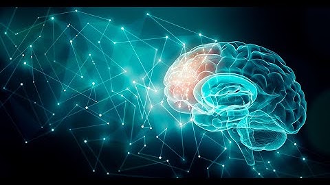 Learn About Science of the Brain - 5 Minutes Microlearning