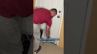 Kill Bugs Naturally With Six Feet Under Barricade