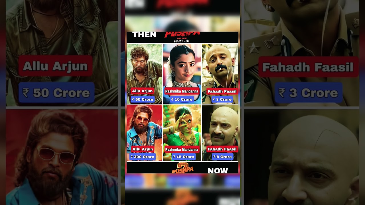Pushpa 2 Star Cast Salary Revealed💥